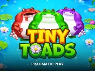 Tiny Toads game cover